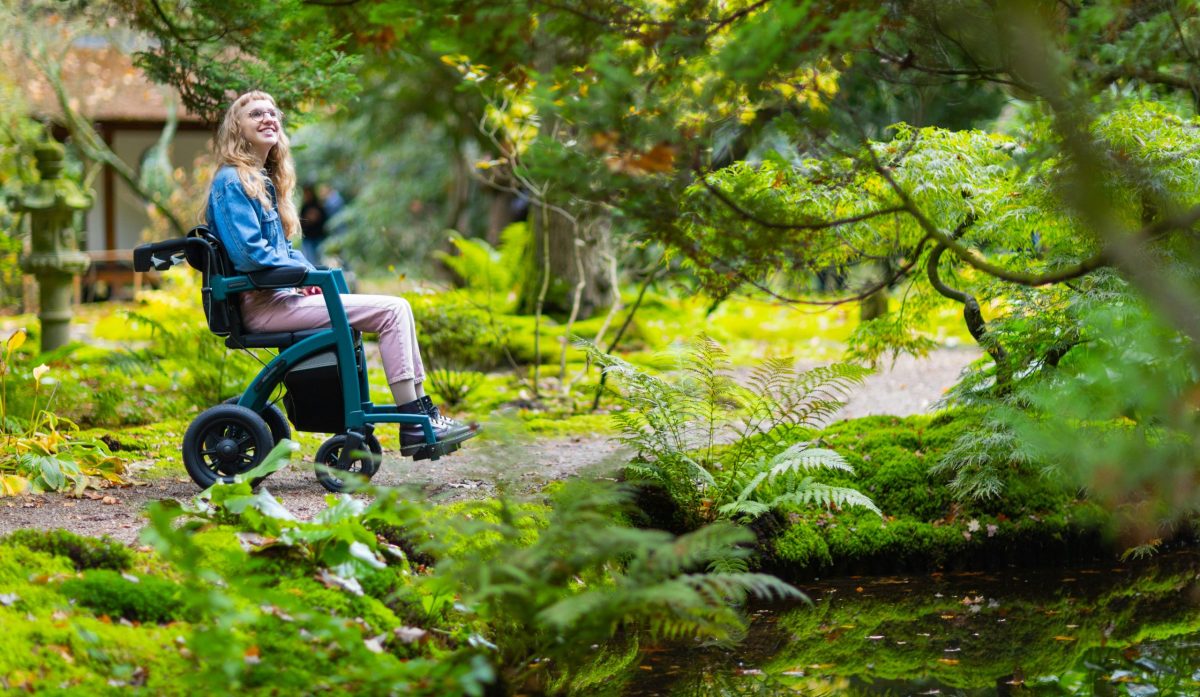 a woman in a wheelchair moves through a peaceful forest