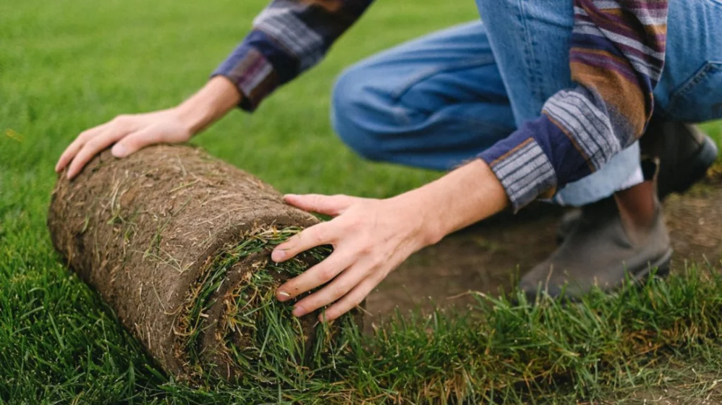 landscaping insurance coverage