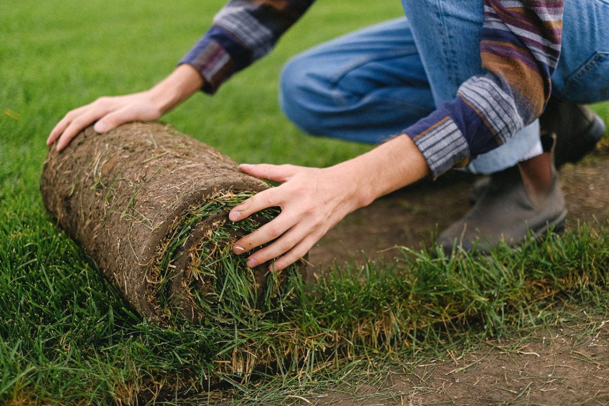 a man kneels on the ground, trimming grass with a roll of grass