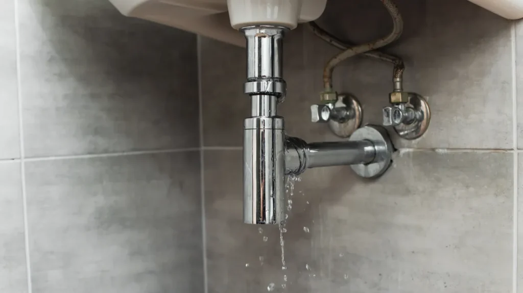 Leaky chrome sink plumbing with dripping water