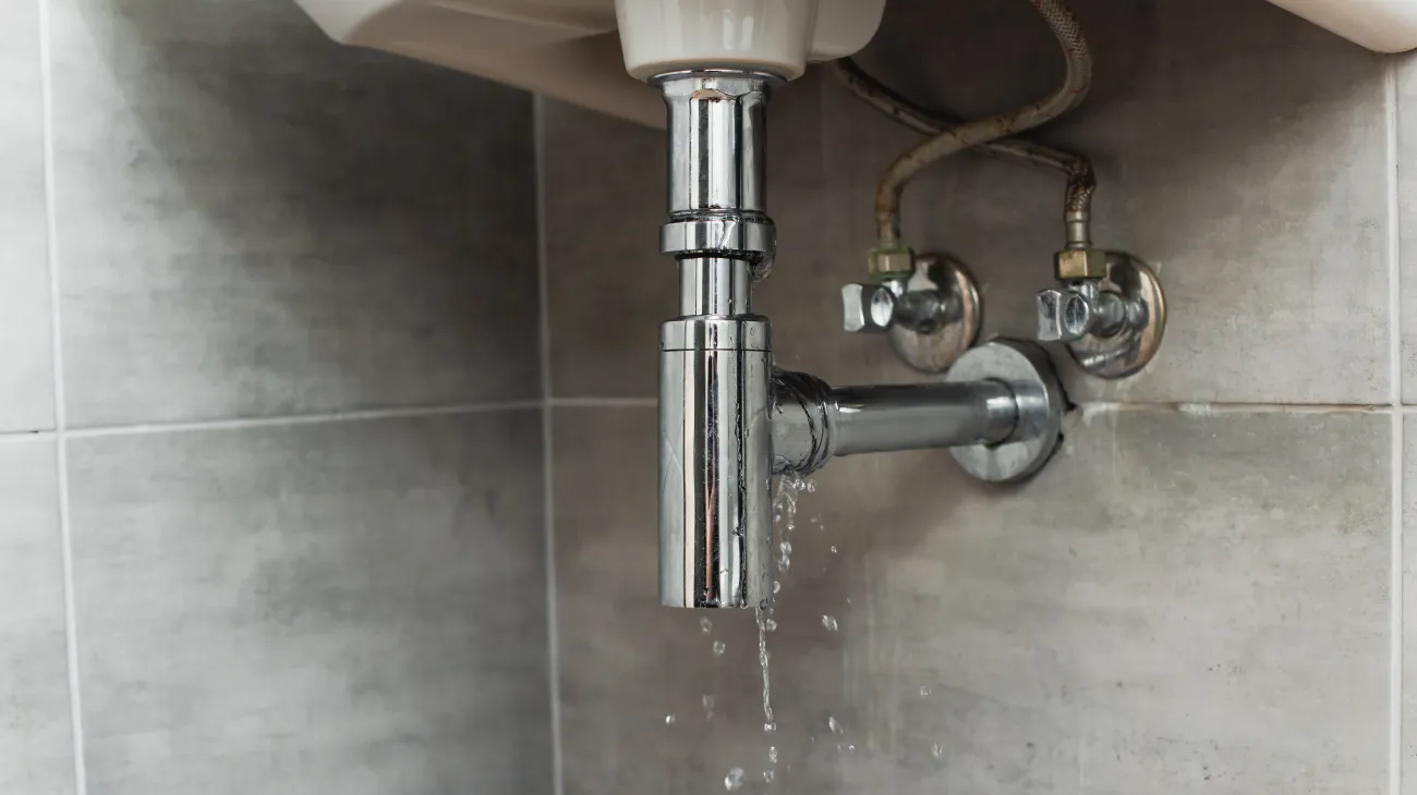 Leaky chrome sink plumbing with dripping water