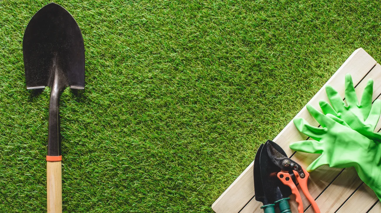 Gardening tools arranged on green grass