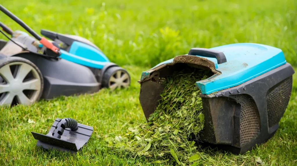 Lawn Mower Grass Catcher Full Of Greenery