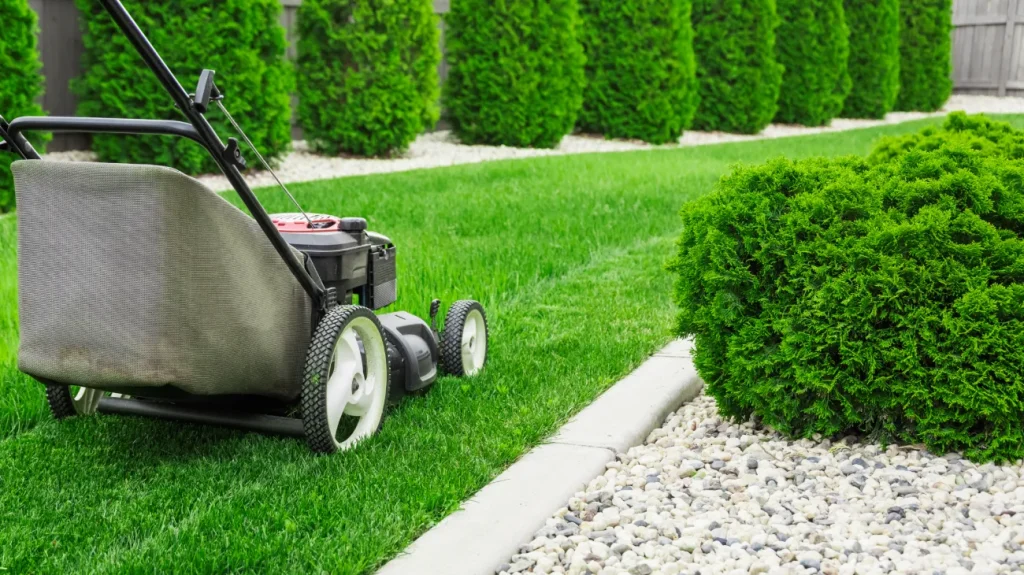 Lawn Mower on Green Grass